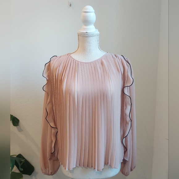 Zara Ruffled Pink Blouse - Picture 8 of 10